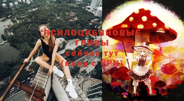 МДПВ Кинешма