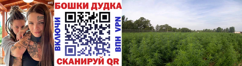 Купить где  Вязники  Каннабис Amnesia 